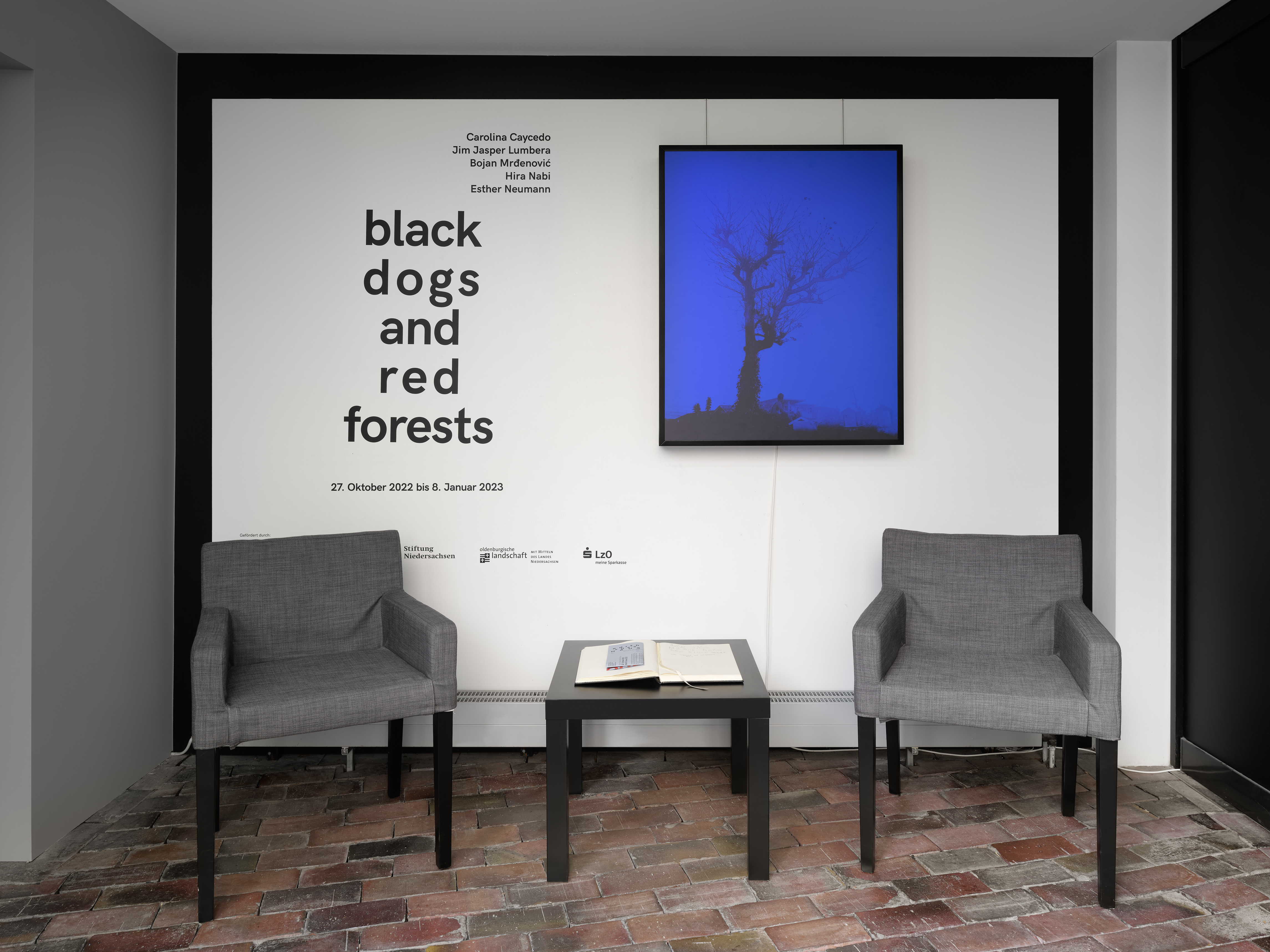 Das Foto zeigt den Eingangsbereich des Edith-Russ-Hauses während der Ausstellung Black Dogs and Red Forests. Foto © Edith-Russ-Haus