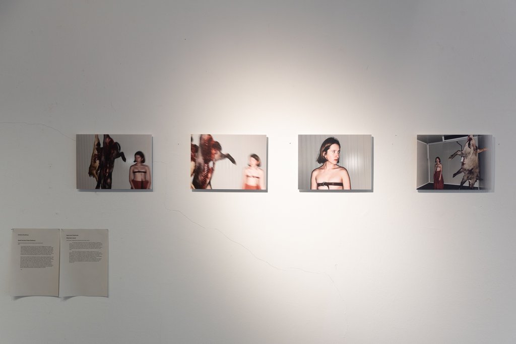 Das Foto zeigt den Ausstellungsraum Photo Dose mit dem Kunstwerk von Hristina Novikova: Dead Carcass. Foto © Edith-Russ-Haus
